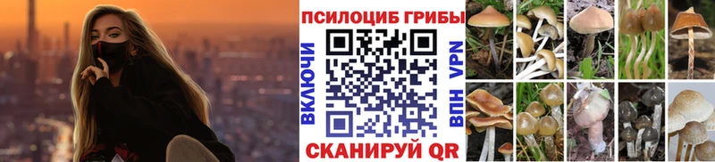 купить сайты Островной Псилоцибиновые грибы MAGIC MUSHROOMS